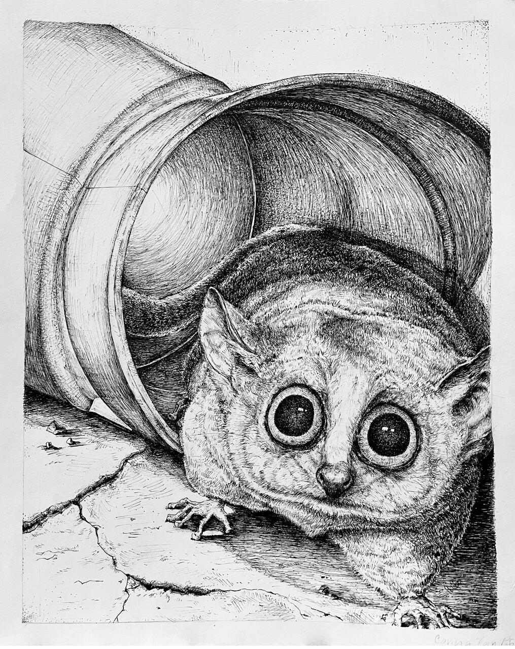 Lemur In a Pipe